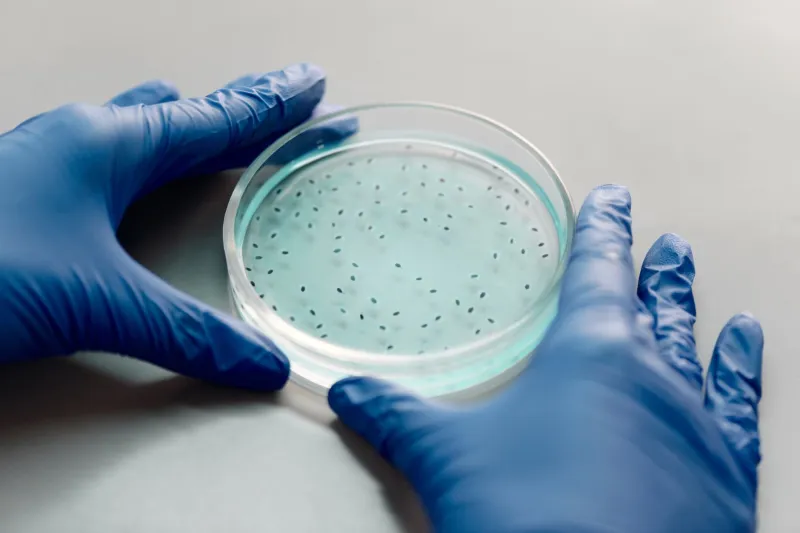 When Bacteria Fight Back: Understanding Augmentin Resistance and What It Means for Your Care